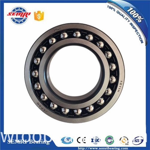 High Quality SKF Aligning Ball Bearing (1205)